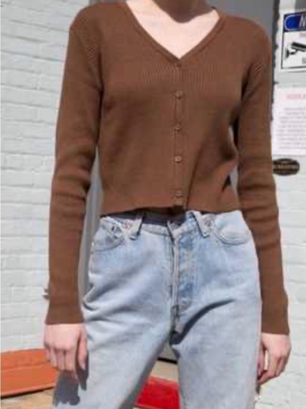 Brandy MelvilleV-Neck Button Front Brown Women's Sweater